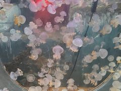 -嘉兴海底世界