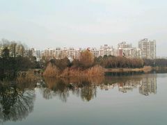 -新江湾城公园