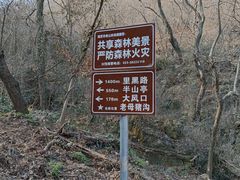 -南京老山国家森林公园