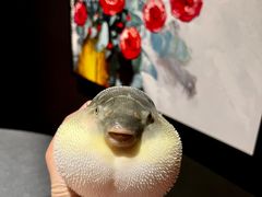 -肆月河豚·淮扬菜·湘菜(华天店)