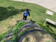 -前小桔亲子创意农场·草莓采摘·露营烧烤