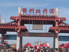 -曹州牡丹园
