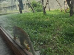 -齐齐哈尔龙沙动植物园