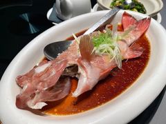清蒸东星斑-徐记海鲜(明德门店)
