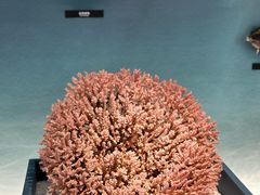 -中国湿地博物馆