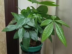 -友谊阳光城