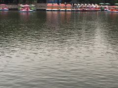 -二一九公园