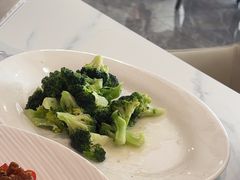 -金熊猫川菜餐厅