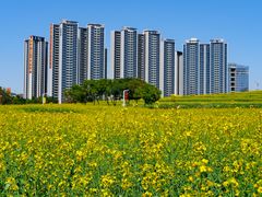 -光明小镇欢乐田园