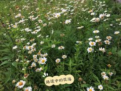 -武陵山森林公园