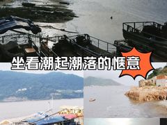 -北岐滩涂