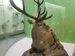 -国家自然博物馆