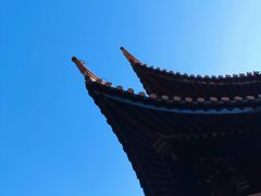 -苏州文庙(姑苏区)