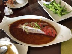 清蒸东星斑-毛里求斯小四川餐厅总店