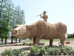 -上海辰山植物园