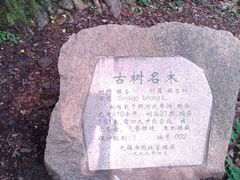 -无锡惠山寺