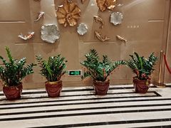 -聚春园自助餐厅(东街口店)