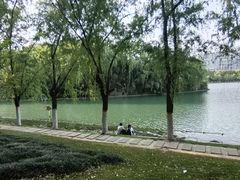-天鹅湖体育公园