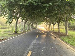 -宜兴龙背山森林公园
