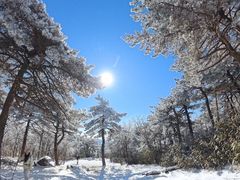 -安吉龙王山风景区