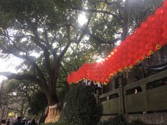 -吴山景区