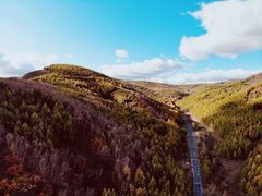 -塞罕坝国家级自然保护区