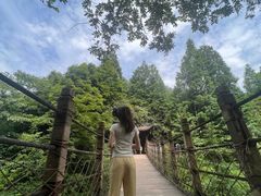 -凤栖山