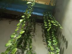 -湘当爱·鲜煮现炒(松岗立业路店)