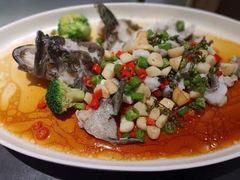 -富淳饭店(陆家嘴保利广场店)