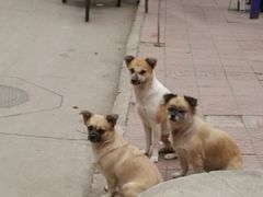 -螺小胖柳州螺蛳粉(钟楼总店)