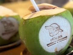 -Coco Tam’s