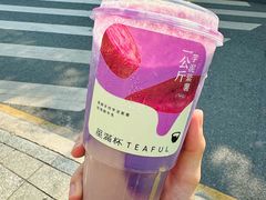 -星满杯TEAFUL(罗湖东门店)