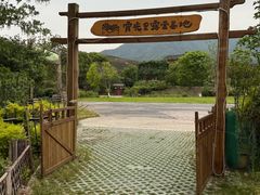 -龙坞茶村