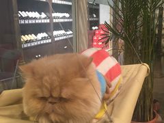 -小时光咖啡馆(开森度假森林店)