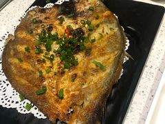 -九府羊·鲜羊火锅·烤串(新华路店)