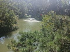 -上海醉白池公园
