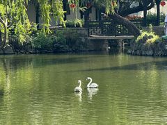 -中山詹园