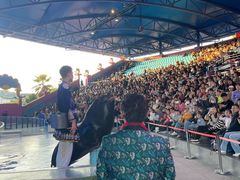 -横店影视城梦幻谷园区