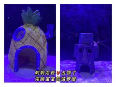 -海合安天津极地海洋公园