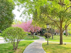 -唐城墙遗址公园