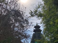 -阿哈湖国家湿地公园