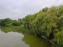 -禹州森林植物园