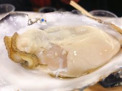 -爱蚝屋