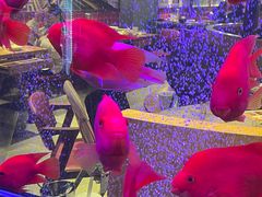 -釜山火炉韩式炭火烤肉(欧洲城店)