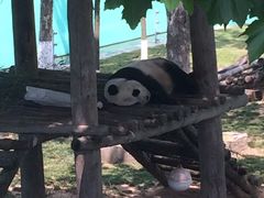 -西霞口神雕山野生动物世界