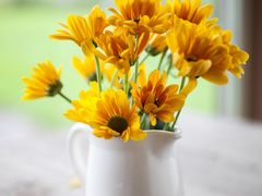 -国家会议中心大酒店