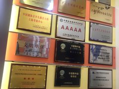 -小荧星艺校(大宁分校)