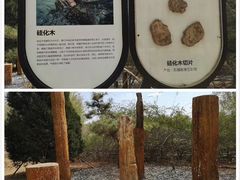 -南海子公园