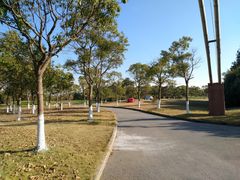 -上海都市菜园