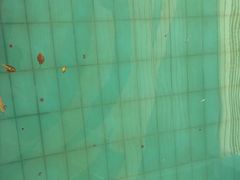 -南宫温泉水世界